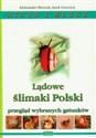 Lądowe ślimaki Polski Atlas i klucz books in polish