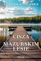 Cisza w mazurskim lesie - Sandra Podleska