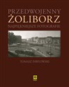 Przedwojenny Żoliborz Najpiękniejsze fotografie Polish Books Canada