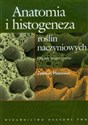 Anatomia i histogeneza roślin naczyniowych Organy wegetatywne to buy in Canada