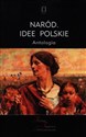 Naród. Idee polskie Antologia Polish bookstore