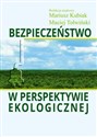 Bezpieczeństwo w perspektywie ekologicznej  