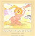 Północ i południe słonia  