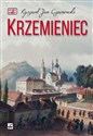 Krzemieniec Polish bookstore