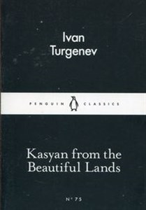 Kasyan from the Beautiful Lands buy polish books in Usa