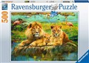 Puzzle 2D 500 Dzika przyroda 16584 - 