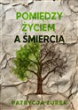 Pomiędzy życiem a śmiercią pl online bookstore