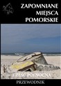 Zapomniane miejsca Pomorskie część Północna - Michał Piotrowski
