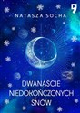 Dwanaście niedokończonych snów  Polish Books Canada