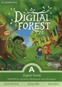 Greenman and the Magic Forest A Digital Forest polish usa