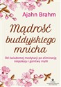 Mądrość buddyjskiego mnicha  - Ajahn Brahm