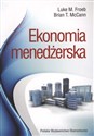 Ekonomia  menedżerska - Luke M. Froebb, Brian T. McCann chicago polish bookstore
