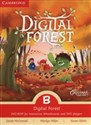 Greenman and the Magic Forest B Digital Forest - Polish Bookstore USA