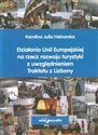 Działania Unii Europejskiej na rzecz rozwoju turystyki z uwzględnieniem Traktatu z Lizbony Bookshop