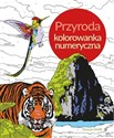 Przyroda. Koloruj według numerów buy polish books in Usa