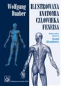 Ilustrowana anatomia człowieka Feneisa - Wolfgang Dauber polish usa