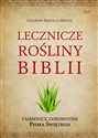 Lecznicze rośliny Biblii Tajemnice zdrowotne Pisma Świętego - Motta Giuseppe Bertelli