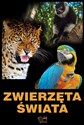 Zwierzęta świata chicago polish bookstore