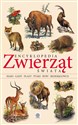 Encyklopedia zwierząt świata Bookshop