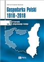 Gospodarka Polski 1918-2018 W kierunku zintegrowanego rozwoju. Tom 1 - Michał Gabriel Woźniak