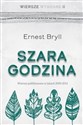 Szara godzina. Wiersze wybrane II online polish bookstore