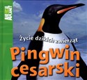 Pingwin cesarski Życie dzikich zwierząt - Meredith Costain buy polish books in Usa