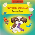 Sam w domu. Przygody Karmelka polish books in canada