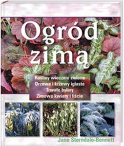 Ogród zimą Rośliny wiecznie zielone, drzewa i krzewy iglaste, trwałe byliny, zimowe kwiaty i liście  