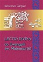 Lecito Devina Do Ewangelii Mateusza 6 Izrael nie uznaje Jezusa Mesjasza (rozdz. 19,1-22,46)/ Tom 28 - Polish Bookstore USA