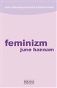 Feminizm to buy in USA