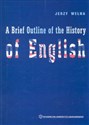 A Brief Outline of the History of English - Jerzy Wełna - Polish Bookstore USA