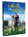 Miłość jak Miód DVD polish usa