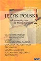 Język polski Od romantyzmu do Młodej Polski Polish bookstore