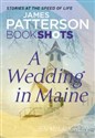 A Wedding in Maine  