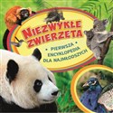 Niezwykłe zwierzęta Pierwsza encyklopedia dla najmłodszych bookstore