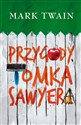 Przygody Tomka Sawyera - Mark Twain books in polish