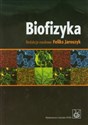 Biofizyka Podręcznik dla studentów books in polish