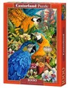 Puzzle Amazon 1000 pl online bookstore