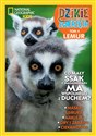 Dzikie Zwierzęta 4 Lemur  
