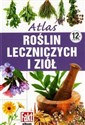 Atlas roślin leczniczych i ziół  - Opracowanie Zbiorowe