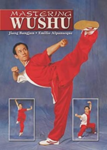 Mastering Wushu  chicago polish bookstore