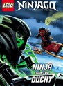 Lego Ninjago Ninja kontra duchy LNR-10 Bookshop