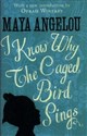 I Know Why The Caged Bird Sings buy polish books in Usa