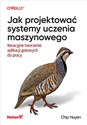 Jak projektować systemy uczenia maszynowego Iteracyjne tworzenie aplikacji gotowych do pracy books in polish