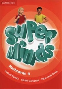 Super Minds Flashcards 4 Pack of 89 Polish bookstore