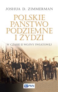 Polskie Państwo Podziemne i Żydzi w czasie II wojny światowej chicago polish bookstore