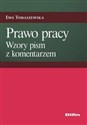 Prawo pracy Wzory pism z komentarzem to buy in USA