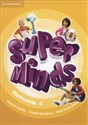 Super Minds Flashcards 5 Pack of 93 Bookshop