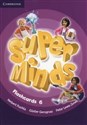 Super Minds Flashcards 6 Pack of 98  