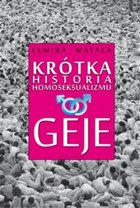 Krótka historia homoseksualizmu Geje books in polish